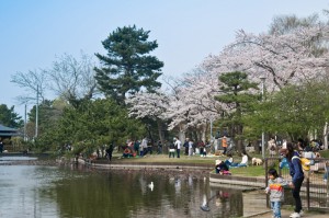 青森市の合浦公園