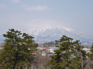 弘前公園 桜はまだ先・・・