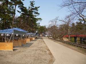 弘前公園 桜はまだ先・・・