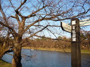 弘前公園4.28-1