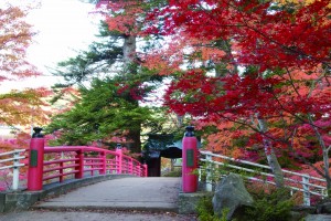 中野もみじ山３