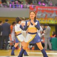 VS新潟アルビレックスBB [ 2015.2.8 ]