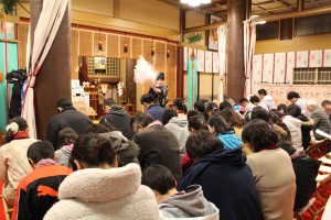 IMG_8862